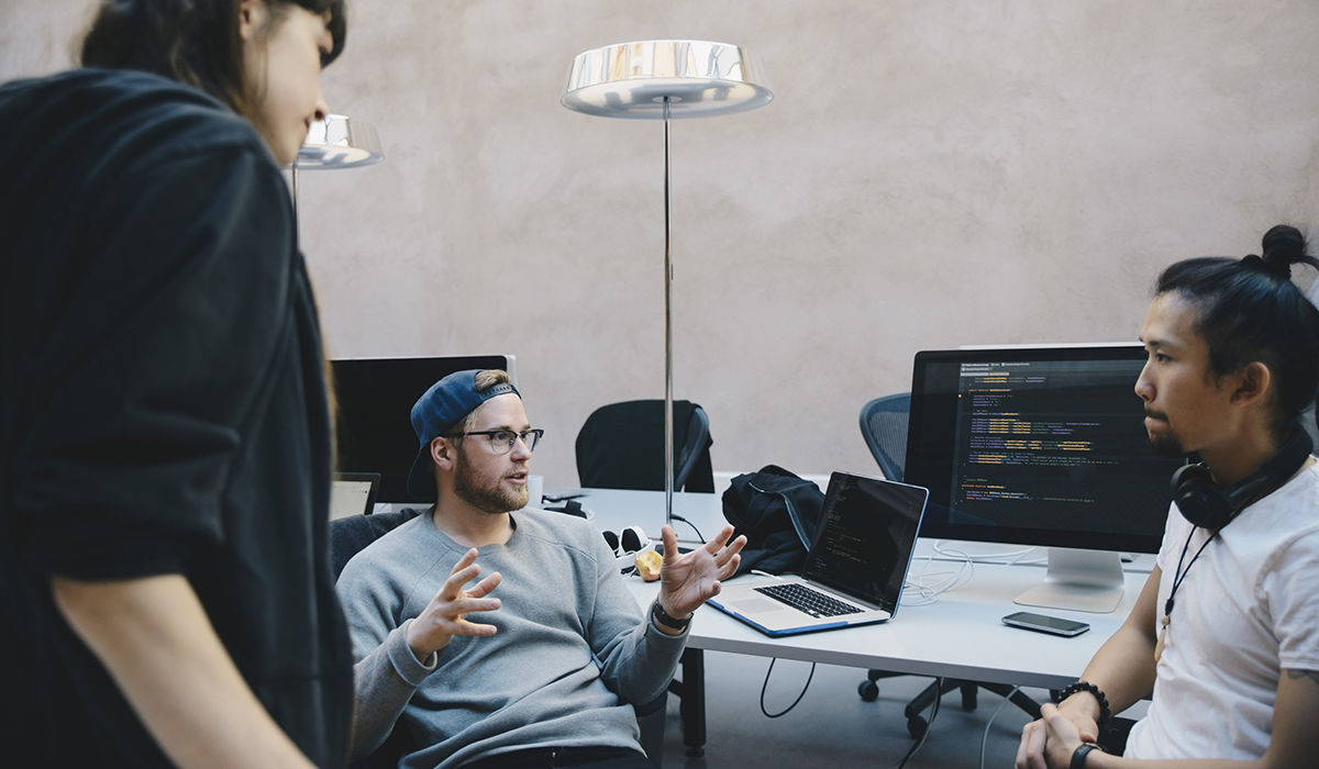 Systemutvecklare med .NET-inriktning bild