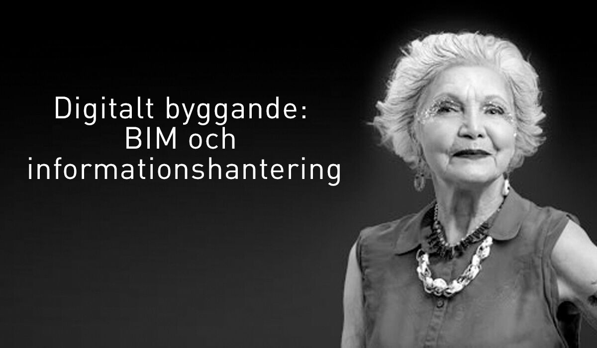 Digitalt byggande: BIM och informationshantering bild