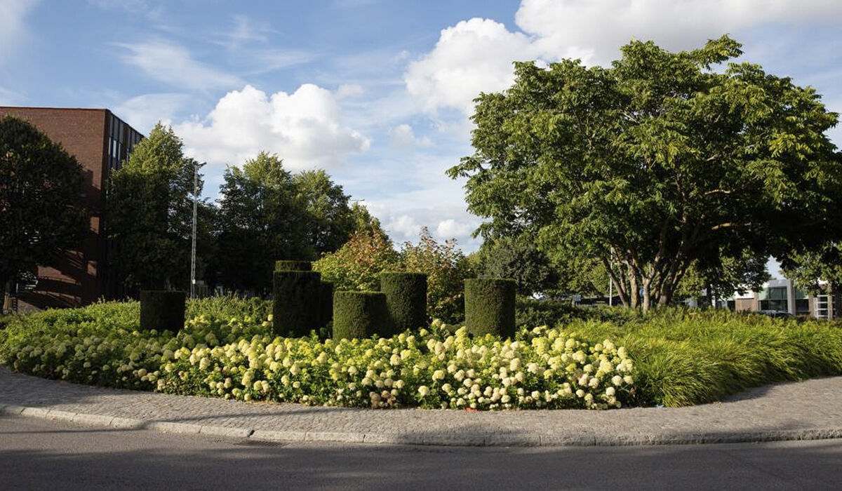 Vård av träd i urban miljö bild