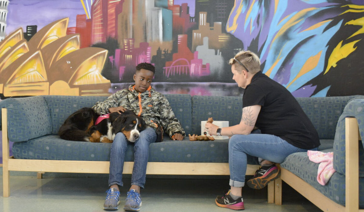 Terapihund – Hundunderstödda insatser i socialt och psykosocialt arbete bild