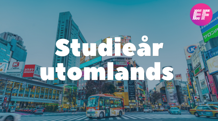 3_Studiea_r_yhg.png bild